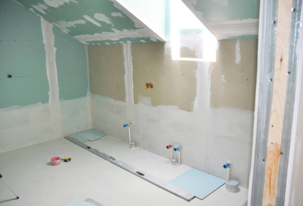 Best Basement Mold Removal  in Ponder, TX