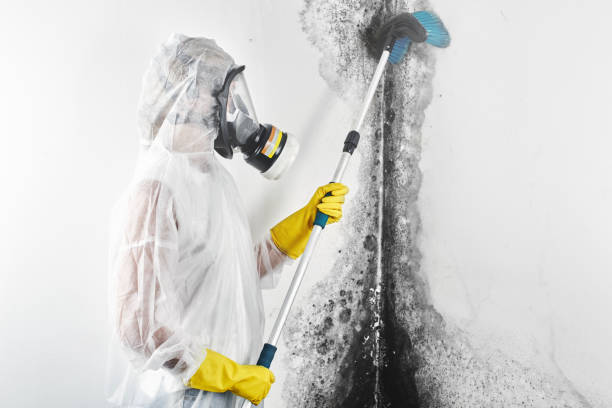 Best Mold Documentation for Insurance Claims  in Ponder, TX
