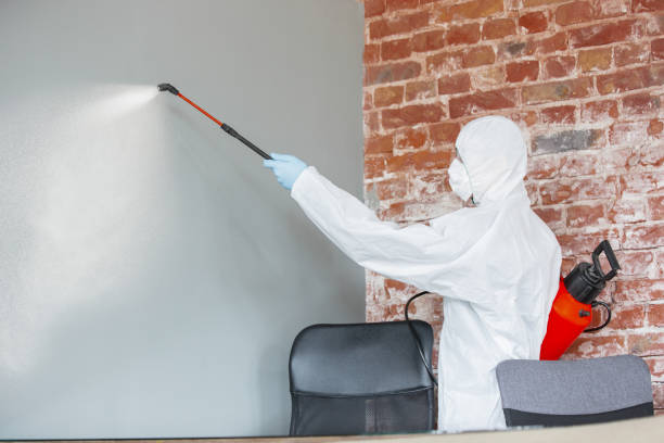  Ponder, TX Mold Removal Pros