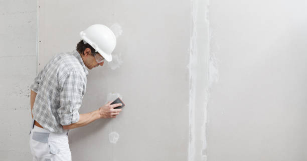 Best Commercial Mold Inspection  in Ponder, TX