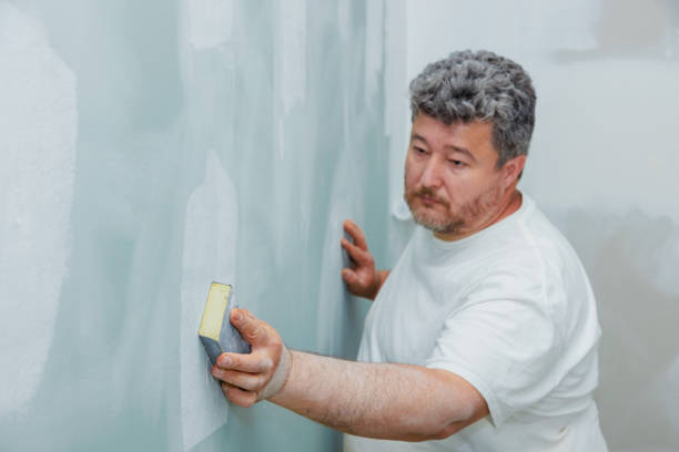 Best Attic Mold Removal  in Ponder, TX