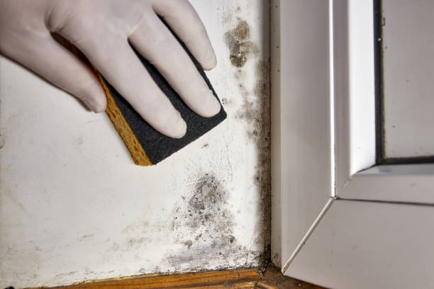 Best Indoor Air Quality Assessment  in Ponder, TX