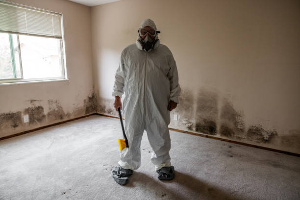 Best Mold Odor Removal Services  in Ponder, TX